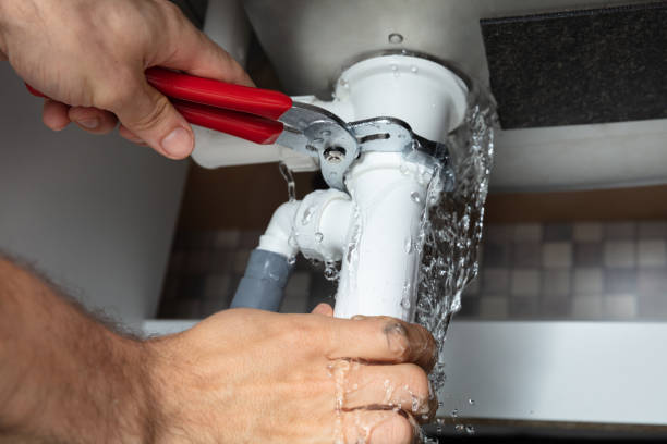 Best Sewage cleanup and water damage restoration  in Hodgenville, KY