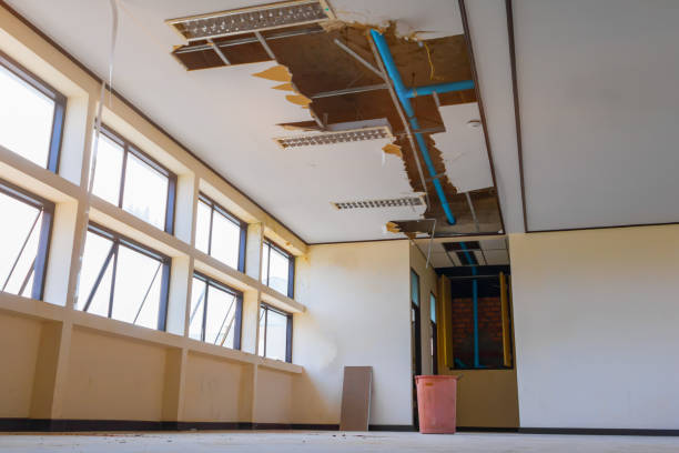 Best Water damage cleanup near me  in Hodgenville, KY