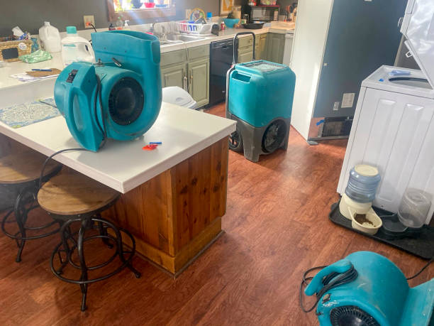 Best Water damage restoration specialists  in Hodgenville, KY