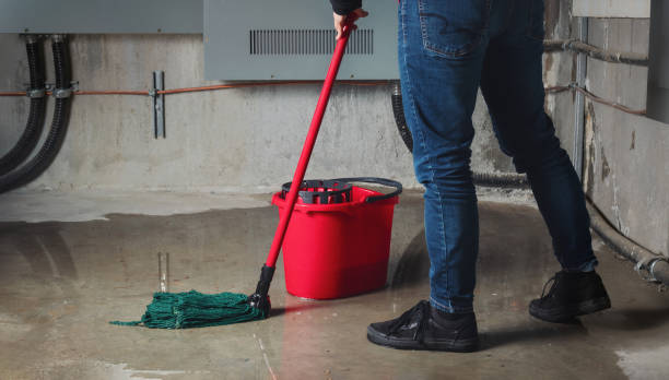 Best Professional water damage repair  in Hodgenville, KY