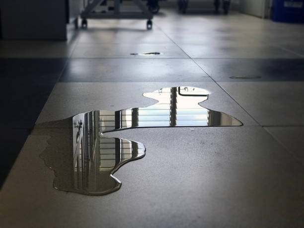 Best Water damage restoration services  in Hodgenville, KY