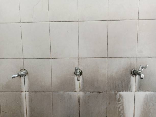 Best Flood restoration services  in Hodgenville, KY