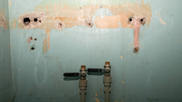 Best Basement water damage restoration  in Hodgenville, KY