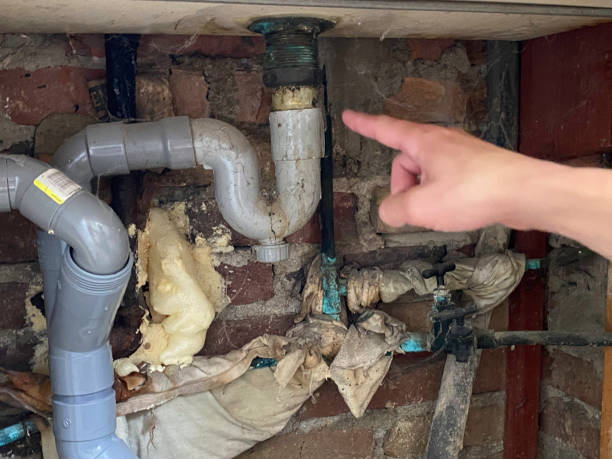 Best Commercial water damage restoration  in Hodgenville, KY